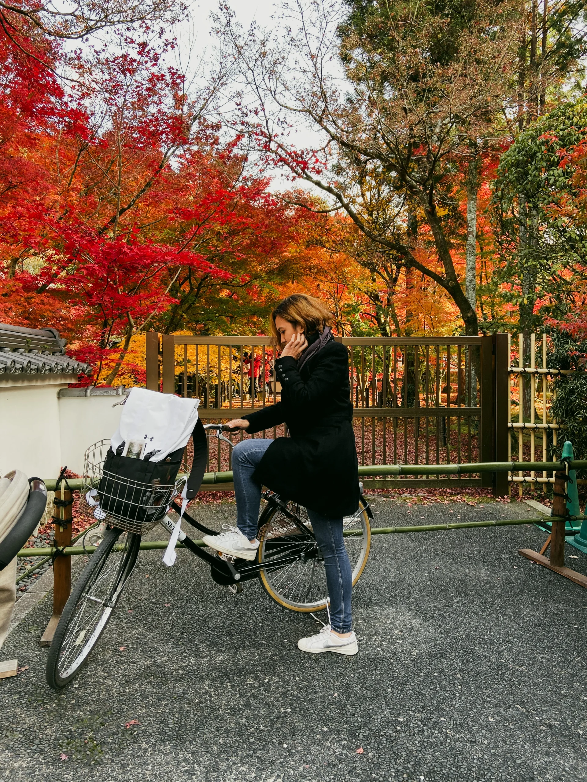 day 3-park in japan-tokyo-conscioustravel.id